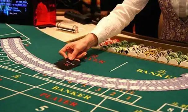 366bet