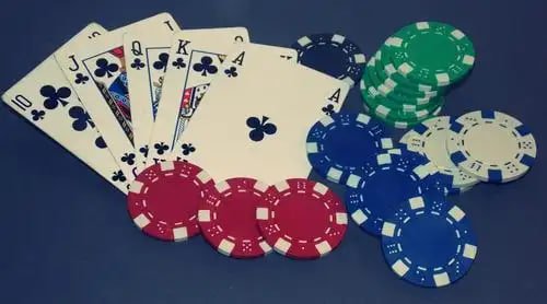 366bet